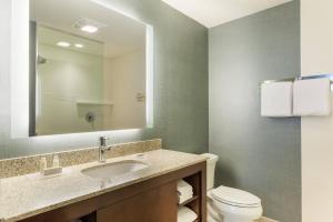 奥兰多奥兰多市中心原住客栈的一间带水槽、卫生间和镜子的浴室