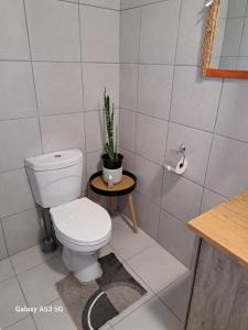 吕德里茨2FiftySix on Second的一间带卫生间和盆栽的浴室