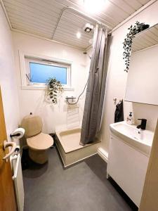 克拉克斯维克Cozy apartment in Klaksvík的一间带卫生间和水槽的小浴室