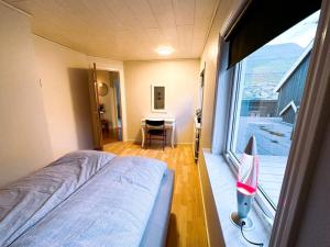 克拉克斯维克Cozy apartment in Klaksvík的一间卧室设有一张床和一个大窗户