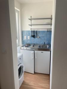 马汀Studio Apartman的厨房配有水槽和洗衣机