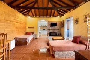 圣克鲁斯-德特内里费Casa Azul del Roque Negro的大房间设有两张床和壁炉