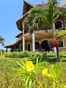 ShimoniRoom in Villa - Eagle Suite 38m2 in Villa 560 m2, Indian Ocean View的前面有棕榈树的房子