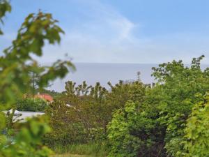 海斯勒Holiday Home Dika - 400m from the sea in Bornholm by Interhome的一组树,后面有房子