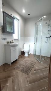 吉日茨科#MazuryOFFline的浴室配有卫生间、盥洗盆和淋浴。