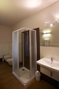 曼托瓦Hotel Leon D'Oro的带淋浴和盥洗盆的浴室
