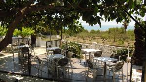 阿尔考斯布里Hotel Serra D'írta的树下带桌椅的庭院