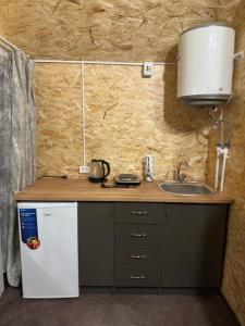 塞凡Nirok的一间带水槽和冰箱的小厨房