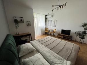 克卢日-纳波卡C & A apartments的客厅配有床和沙发