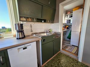 Nord-LenangenHos Laura & Valdemar的厨房配有绿色橱柜、水槽和冰箱。