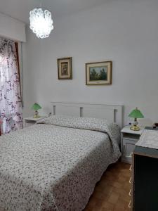 马里纳迪马萨Appartamento al mare di Liguria e Toscana的一间卧室配有一张床和两张带台灯的桌子。