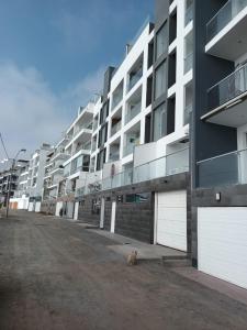 蓬塔赫尔莫萨Departamento en Punta Hermosa con vista al Mar的坐在建筑物前的狗