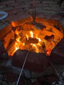 SzarvaskőErdei Buborék的砖炉火,火