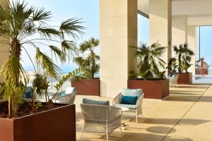 麦纳麦Hilton Garden Inn Bahrain Bay的酒店大堂种植了棕榈树,配有椅子