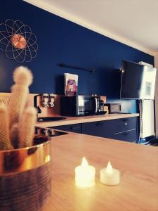 梅斯L'Atelier de rêves的厨房配有带仙人掌的木桌