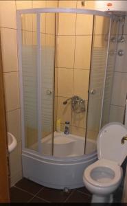 弗拉涅Vranje City Center, Penthouse Delux Apartment的带淋浴、卫生间和浴缸的浴室