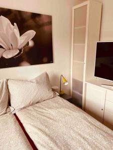 特隆赫姆Bakklandets Perle 3-roms的一间卧室配有一张床和一台平面电视