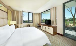 温特和克温特和克希尔顿酒店的酒店客房设有一张大床和一台电视。