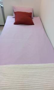 罗兹HOLA Apartamenty Narutowicza的一张白色的大床,上面有红色枕头