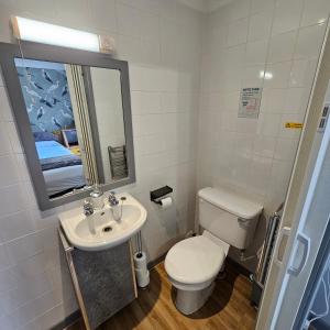 ScorrierGoonearl Simply Stay的一间带卫生间、水槽和镜子的浴室
