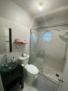 金斯敦Cozy 2 bedroom Townhouse in gated community, KGN8的带淋浴、卫生间和盥洗盆的浴室