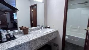 ShelbyvilleThe Shelby Inn的一间带水槽、卫生间和镜子的浴室