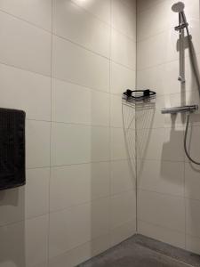 RossumErve Volthebrook的浴室内设有带网的淋浴