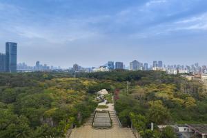 深圳深圳南山希尔顿逸林酒店及公寓的城市背景公园的空中景观