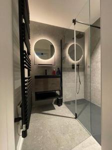 BraivesGîte 'Au bout du Tige'的带淋浴、盥洗盆和镜子的浴室