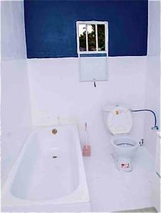 RubavuMAISON DU LAC -Feel home with opening on Lake Kivu的白色的浴室设有卫生间和窗户。
