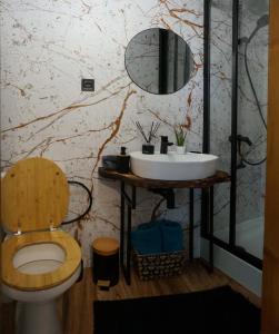 特尔乔夫德里温妮卡哈提旅馆的一间带水槽、卫生间和镜子的浴室