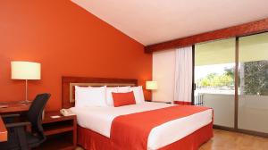 比亚埃尔莫萨比亚埃尔莫萨森卡里嘉年华酒店的配有一张床、一张书桌和一扇窗户的酒店客房