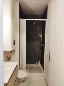 阿格德角Appartement centre port Cap d'Agde的带淋浴、卫生间和盥洗盆的浴室