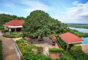 帕纳吉DoubleTree by Hilton Goa - Panaji的树屋的顶部景色