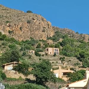 BédarEl castillo de la Mora的享有带房屋和树木的山景