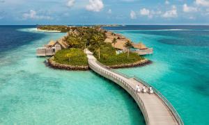 南马累环礁Waldorf Astoria Maldives Ithaafushi的一群人走在一座海上桥梁上