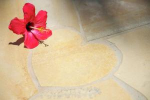 那霸那霸首里城希尔顿逸林酒店的一颗红花,在地板上,有一颗心