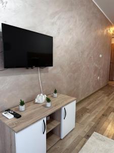 鲁马Apartman San的客厅设有壁挂式平面电视。