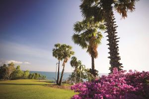 达尔文达尔文滨海希尔顿逸林酒店的棕榈树公园和粉红色的花卉公园