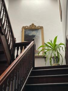 桑给巴尔德豪皇宫酒店的一个带镜子和盆栽的楼梯