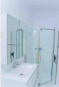RubavuMaisondulac7的带淋浴、盥洗盆和镜子的浴室