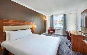 布里斯托北布里斯托尔希尔顿逸林酒店的酒店客房设有一张大床和一张书桌。