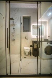 路特奇Etheras Luxury apartment的带淋浴、卫生间和盥洗盆的浴室