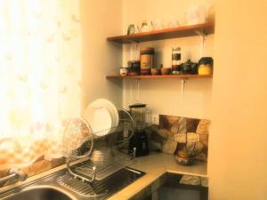 乌鲁班巴Cozy mountain house的厨房柜台设有水槽和搅拌机