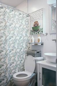 巴尔的摩Sleek and Cozy Micro Fells Point Residence!的一间带卫生间和淋浴帘的浴室