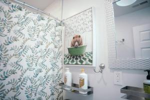巴尔的摩Sleek and Cozy Micro Fells Point Residence!的一间带浴缸内淋浴和狗的浴室