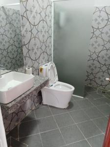 贡布Domnak Teuk Chhou的一间带卫生间和水槽的浴室