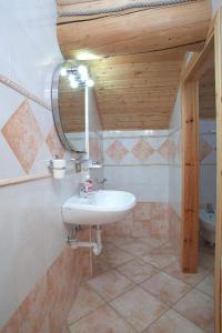 利维尼奥VERDELAGO Appartamenti e CASA CRY的一间带水槽和镜子的浴室
