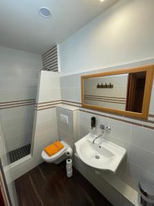 斯特日布罗乌布兰基酒店的一间带水槽、卫生间和镜子的浴室