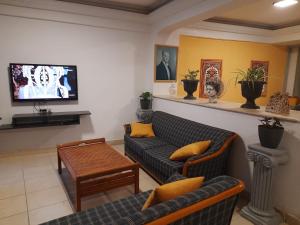 库萨达斯Ephesian Hotel & Guesthouse的带沙发和平面电视的客厅
